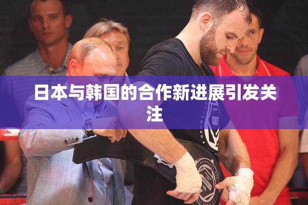 日本与韩国的合作新进展引发关注