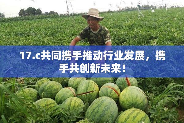 17.c共同携手推动行业发展，携手共创新未来！