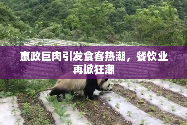 嬴政巨肉引发食客热潮，餐饮业再掀狂潮