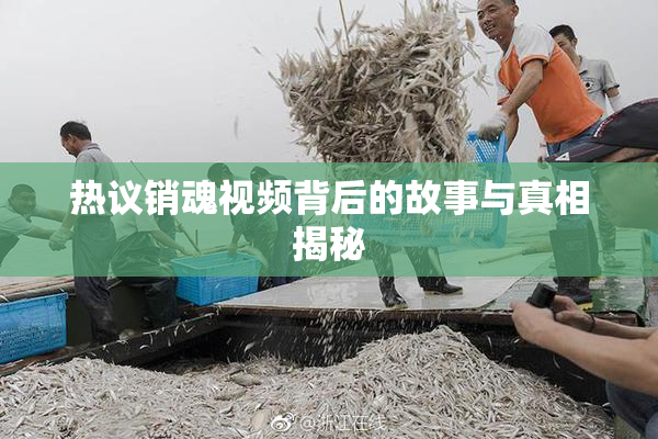 热议销魂视频背后的故事与真相揭秘