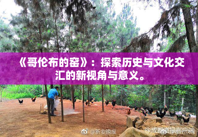 《哥伦布的窑》：探索历史与文化交汇的新视角与意义。