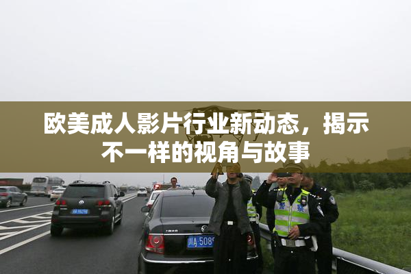 欧美成人影片行业新动态，揭示不一样的视角与故事