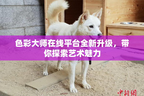 色彩大师在线平台全新升级，带你探索艺术魅力