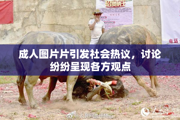成人图片片引发社会热议，讨论纷纷呈现各方观点