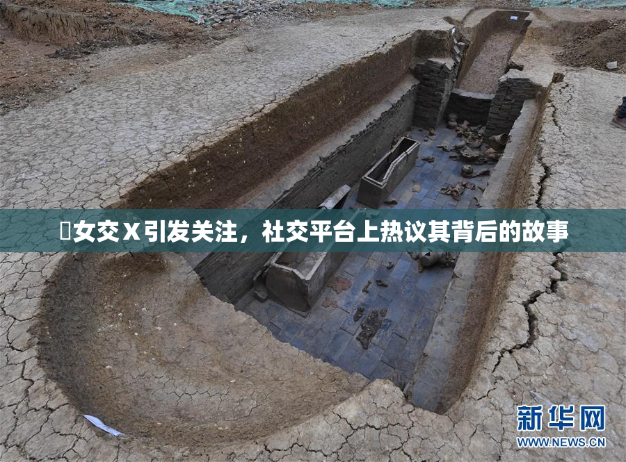 乣女交Ⅹ引发关注，社交平台上热议其背后的故事