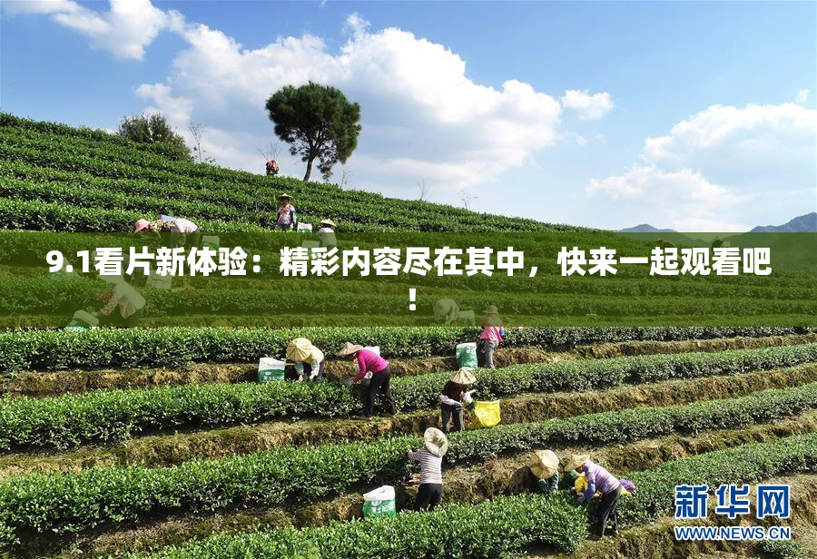 9.1看片新体验：精彩内容尽在其中，快来一起观看吧！