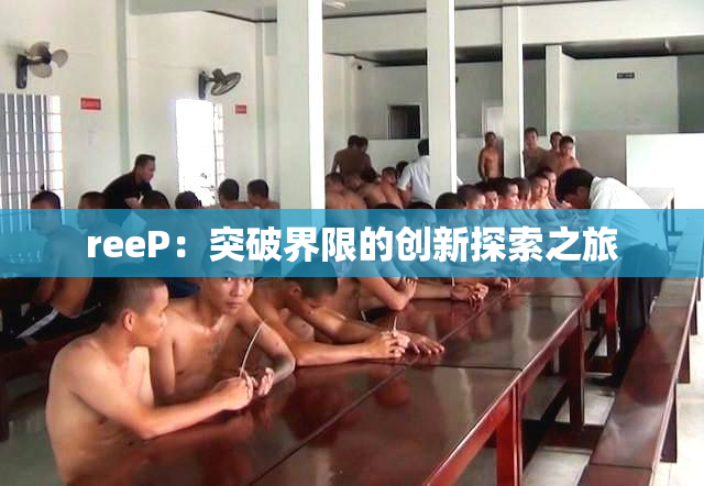 reeP：突破界限的创新探索之旅
