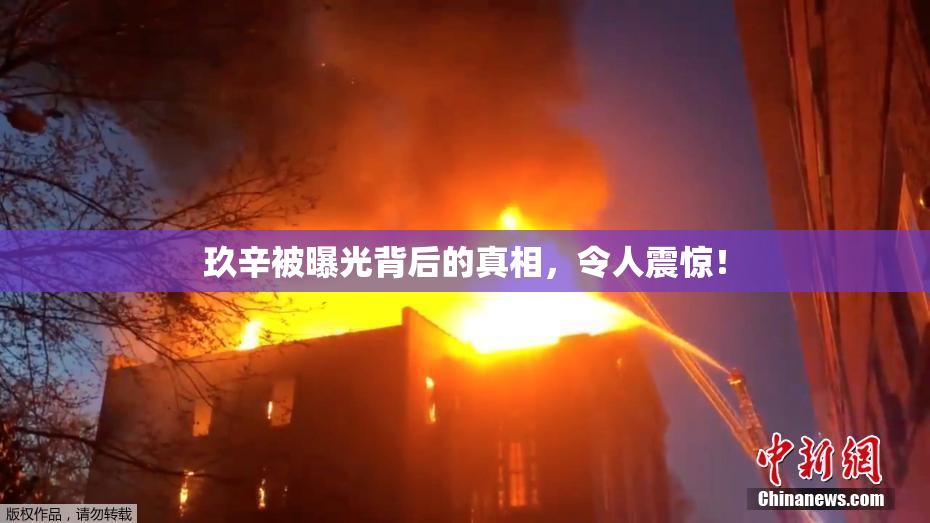 玖辛被曝光背后的真相，令人震惊！