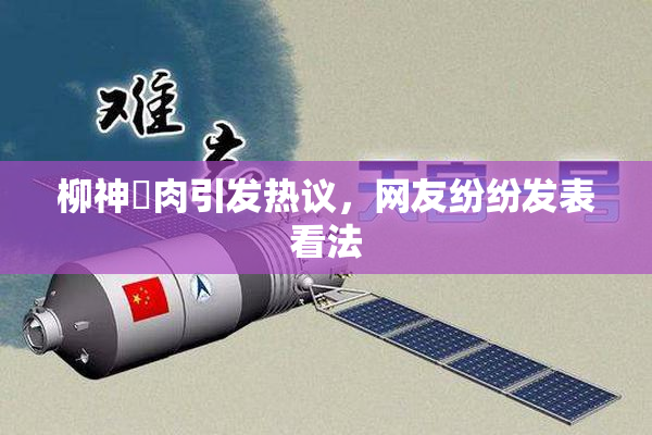 柳神婬肉引发热议，网友纷纷发表看法