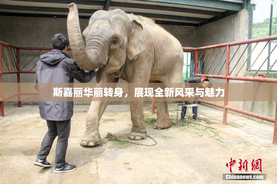斯嘉丽华丽转身，展现全新风采与魅力