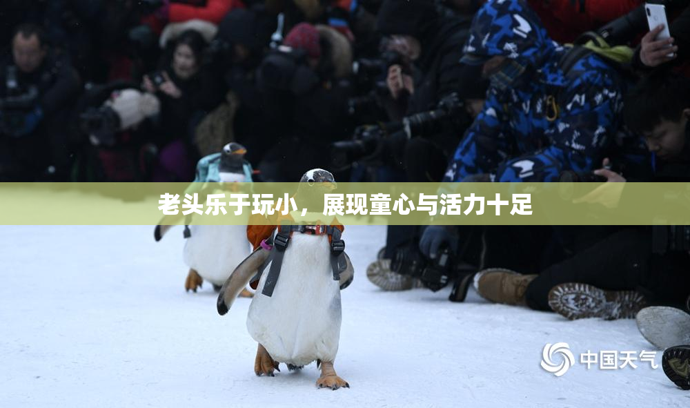 老头乐于玩小，展现童心与活力十足