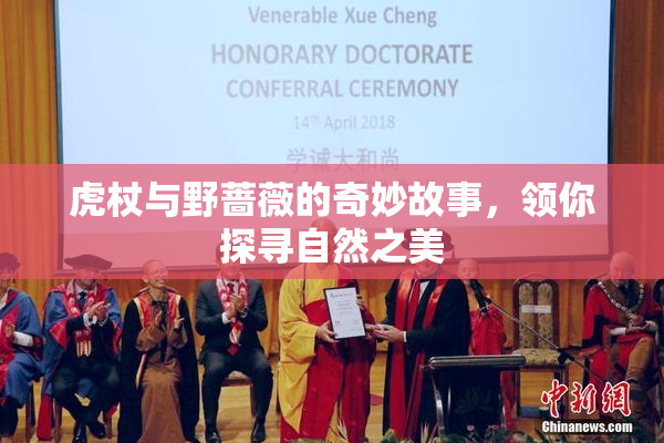 虎杖与野蔷薇的奇妙故事，领你探寻自然之美