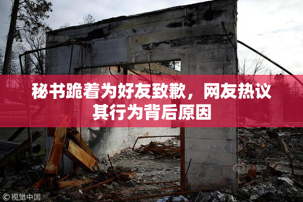 秘书跪着为好友致歉，网友热议其行为背后原因