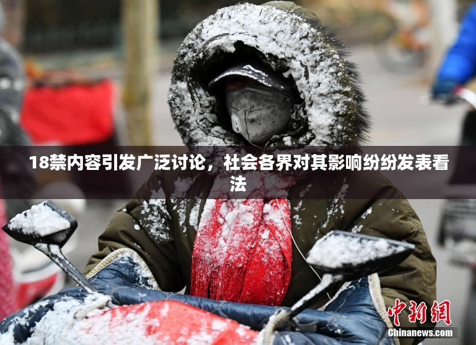 18禁内容引发广泛讨论，社会各界对其影响纷纷发表看法