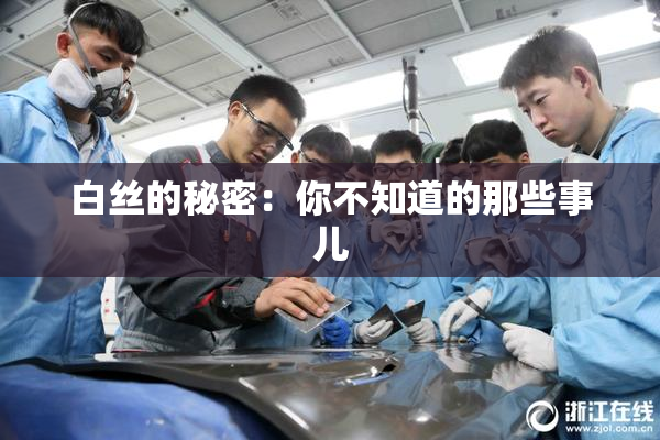 白丝的秘密：你不知道的那些事儿