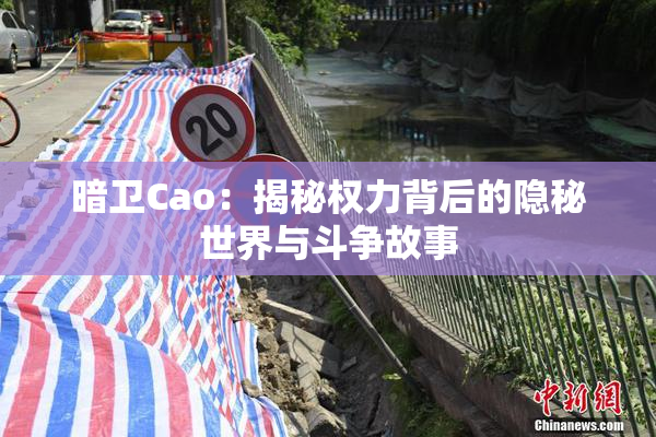 暗卫Cao：揭秘权力背后的隐秘世界与斗争故事