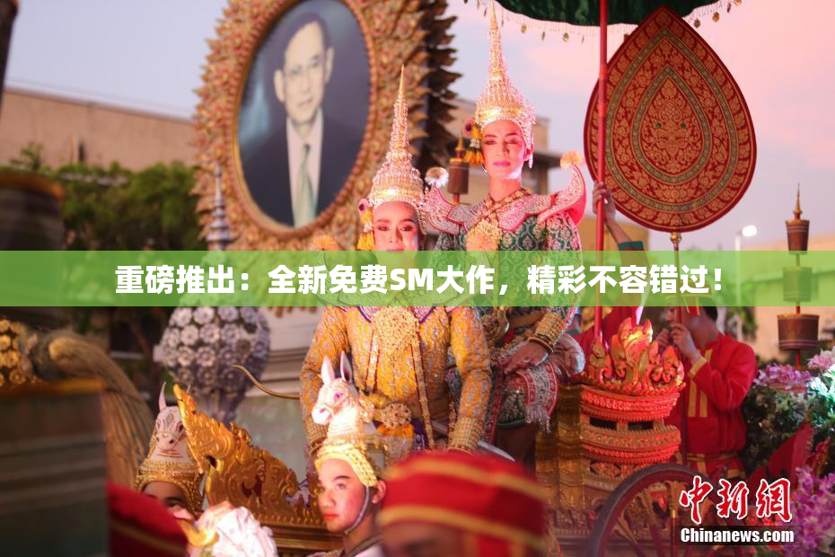 重磅推出：全新免费SM大作，精彩不容错过！