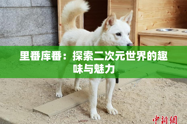 里番库番：探索二次元世界的趣味与魅力