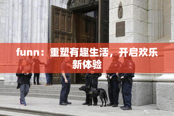 funn：重塑有趣生活，开启欢乐新体验
