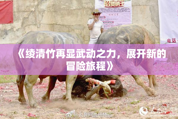 《绫清竹再显武动之力，展开新的冒险旅程》