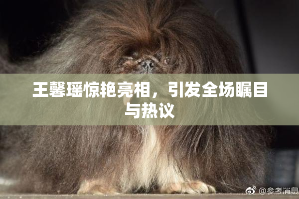 王馨瑶惊艳亮相，引发全场瞩目与热议