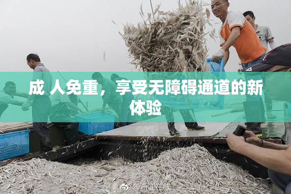 成 人免重，享受无障碍通道的新体验