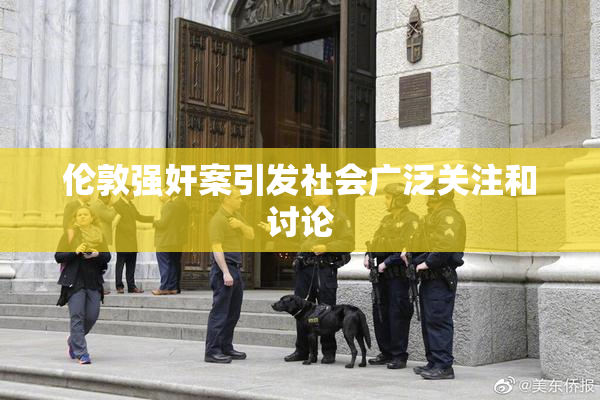 伦敦强奸案引发社会广泛关注和讨论