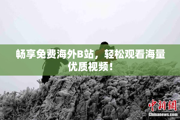 畅享免费海外B站，轻松观看海量优质视频！