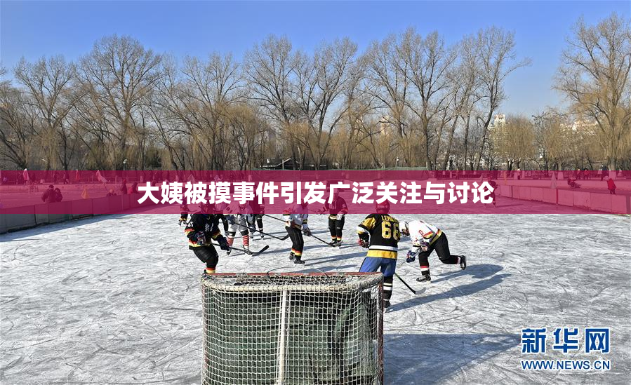 大姨被摸事件引发广泛关注与讨论