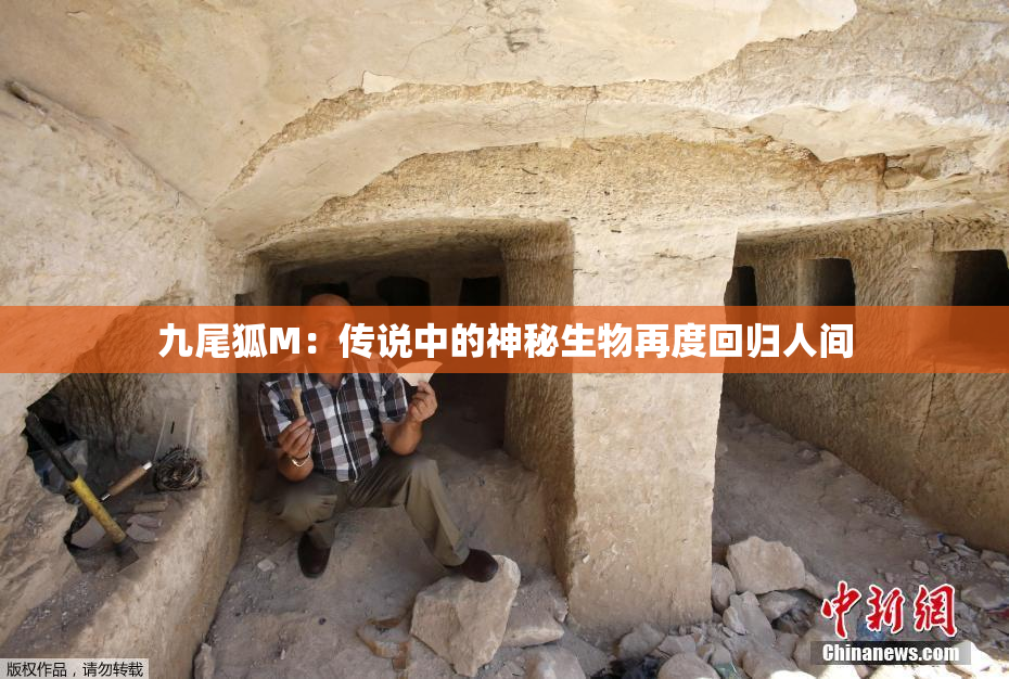 九尾狐M：传说中的神秘生物再度回归人间