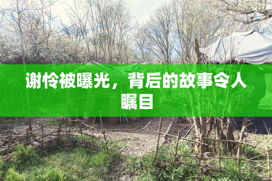谢怜被曝光，背后的故事令人瞩目