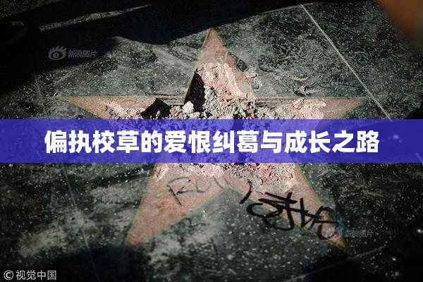 偏执校草的爱恨纠葛与成长之路