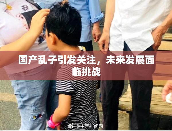 国产乱子引发关注，未来发展面临挑战