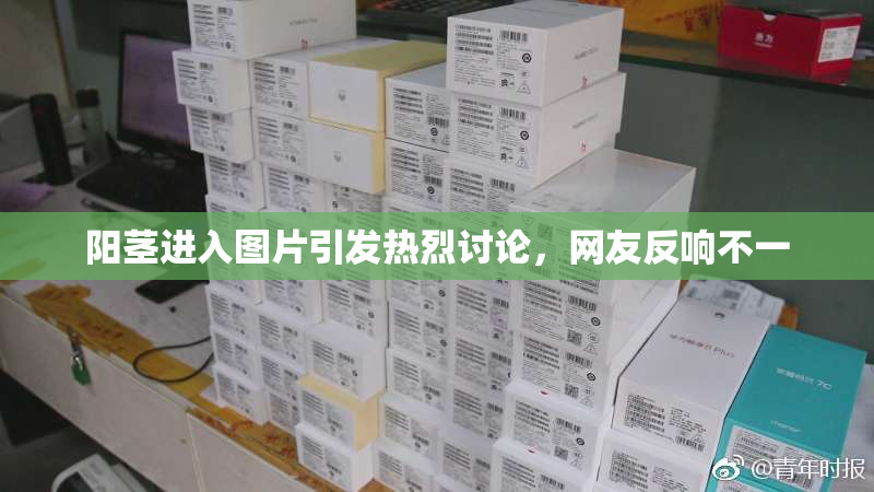 阳茎进入图片引发热烈讨论，网友反响不一