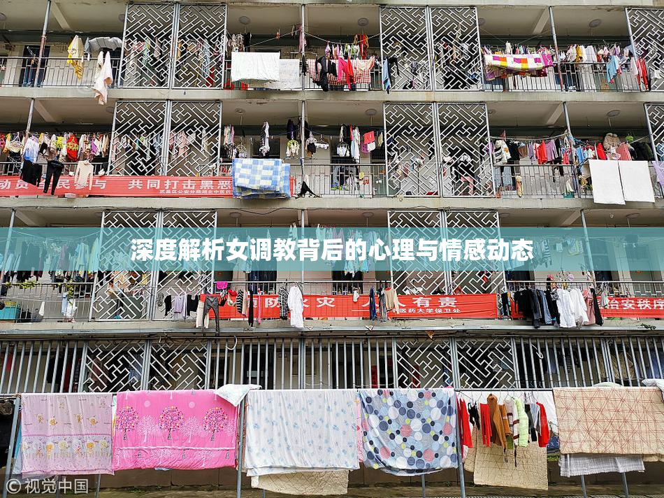 深度解析女调教背后的心理与情感动态