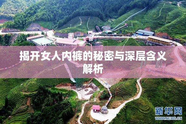 揭开女人内裤的秘密与深层含义解析