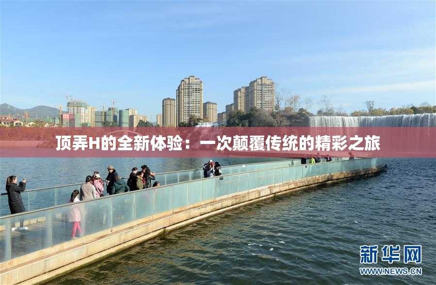 顶弄H的全新体验：一次颠覆传统的精彩之旅