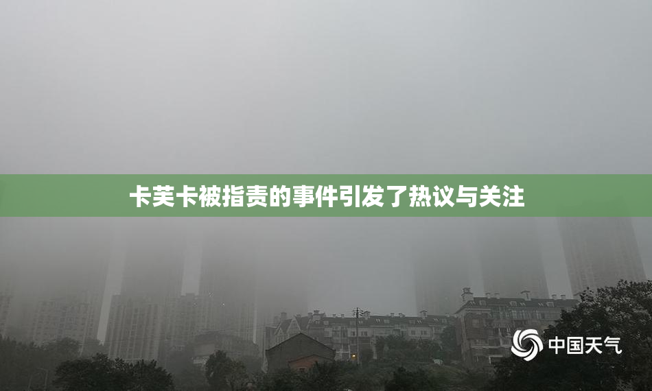 卡芙卡被指责的事件引发了热议与关注