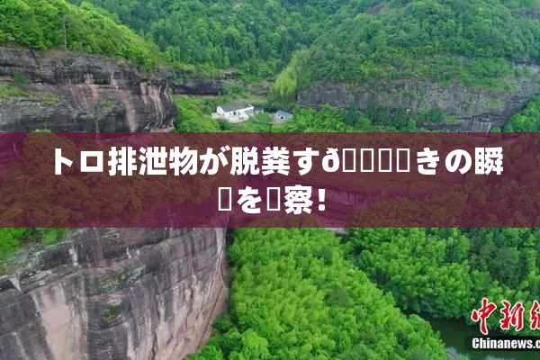 トロ排泄物が脱粪す🌃驚きの瞬間を観察！