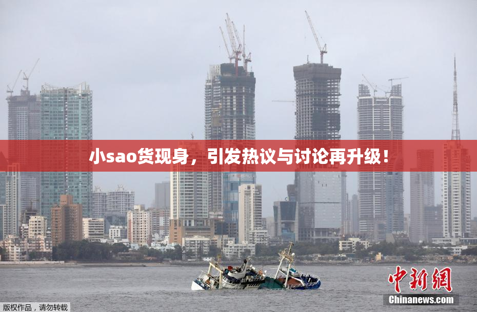 小sao货现身，引发热议与讨论再升级！