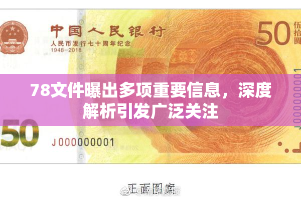 78文件曝出多项重要信息，深度解析引发广泛关注
