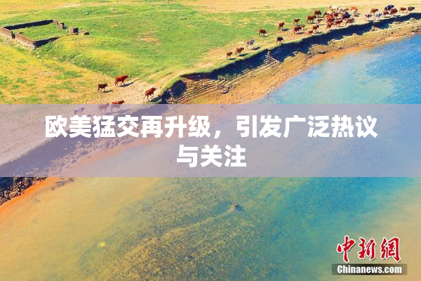 欧美猛交再升级，引发广泛热议与关注