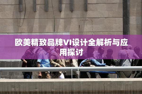 欧美精致品牌VI设计全解析与应用探讨