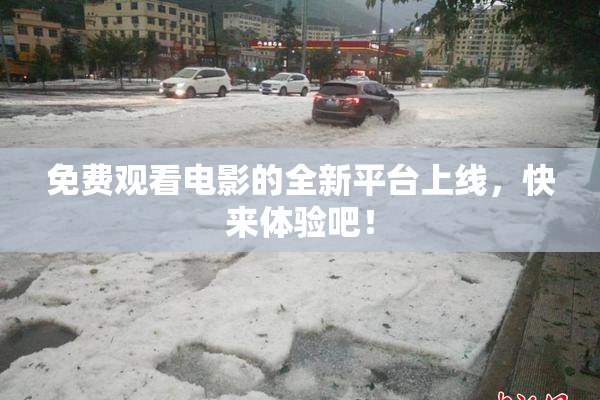 免费观看电影的全新平台上线，快来体验吧！