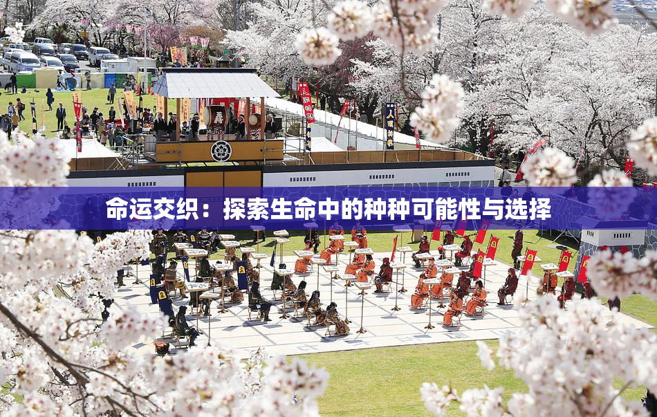 命运交织：探索生命中的种种可能性与选择