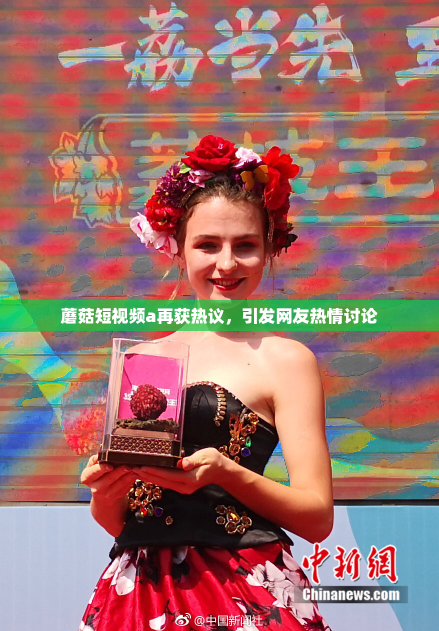 蘑菇短视频a再获热议，引发网友热情讨论