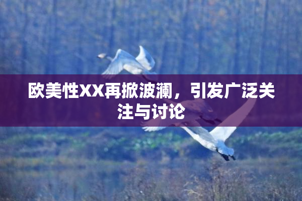 欧美性XX再掀波澜，引发广泛关注与讨论