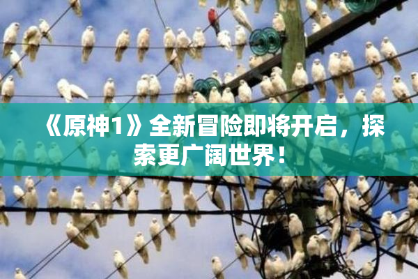《原神1》全新冒险即将开启，探索更广阔世界！