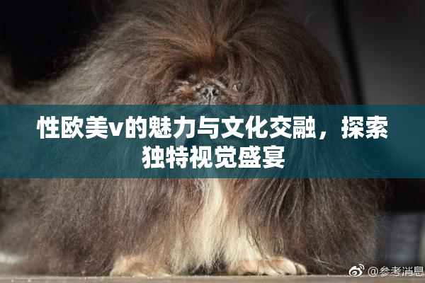 性欧美v的魅力与文化交融，探索独特视觉盛宴