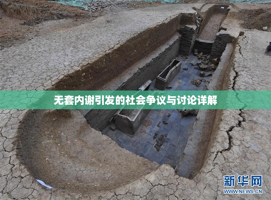 无套内谢引发的社会争议与讨论详解